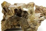Triassic-Age Petrified Wood Log - Madagascar #379266-2